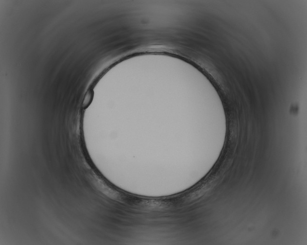 X0000089391420200707131710