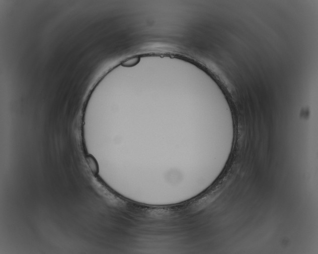 X0000089391421200707131710