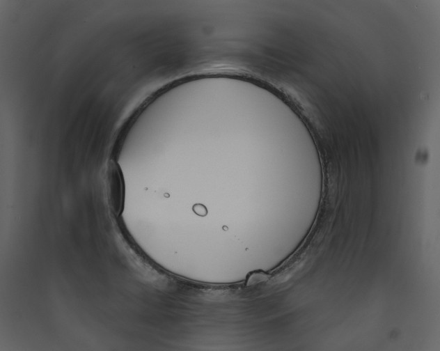 X0000089391422200707131710