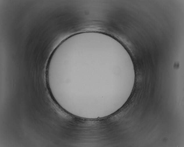 X0000089391423200707131710