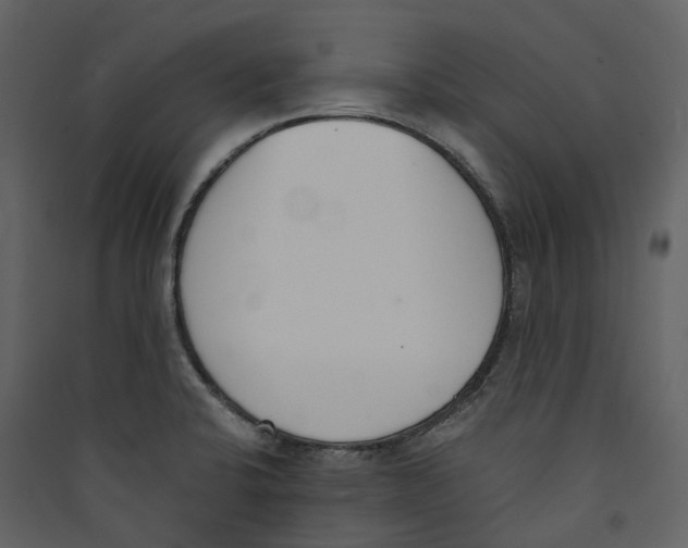 X0000089391424200707131710