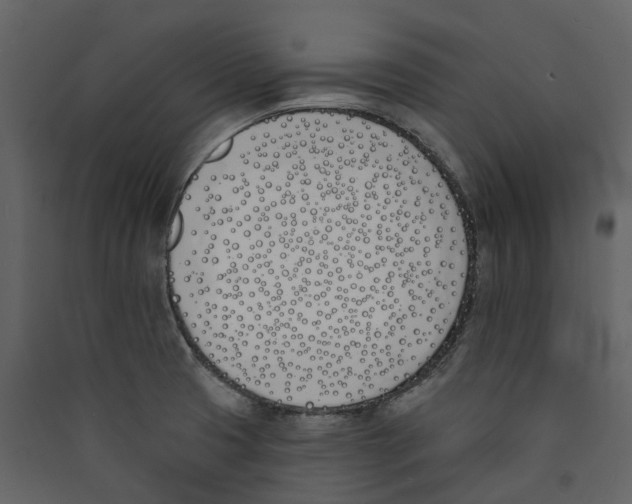 X0000089391425200707131710