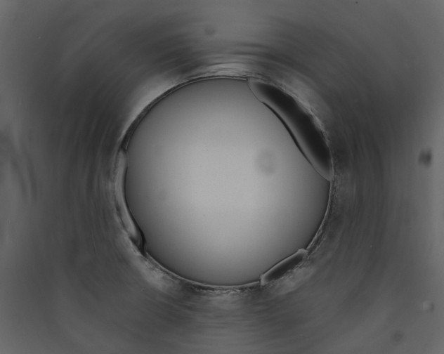 X0000089391426200707131710