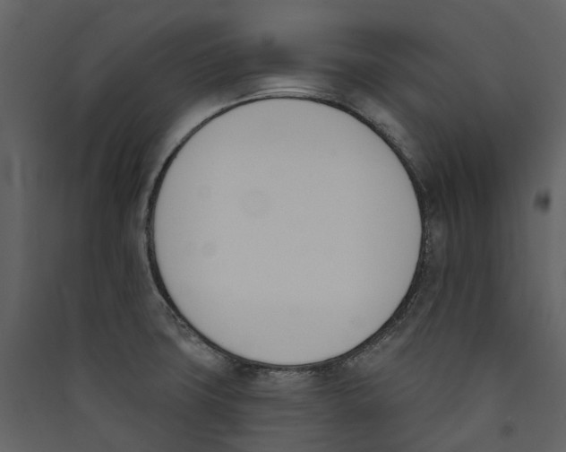 X0000089391427200707131710