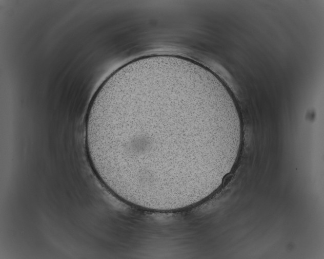 X0000089391428200707131710