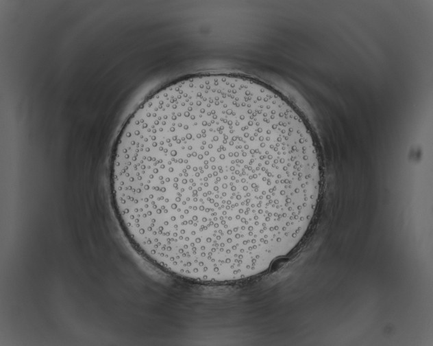 X0000089391429200707131710