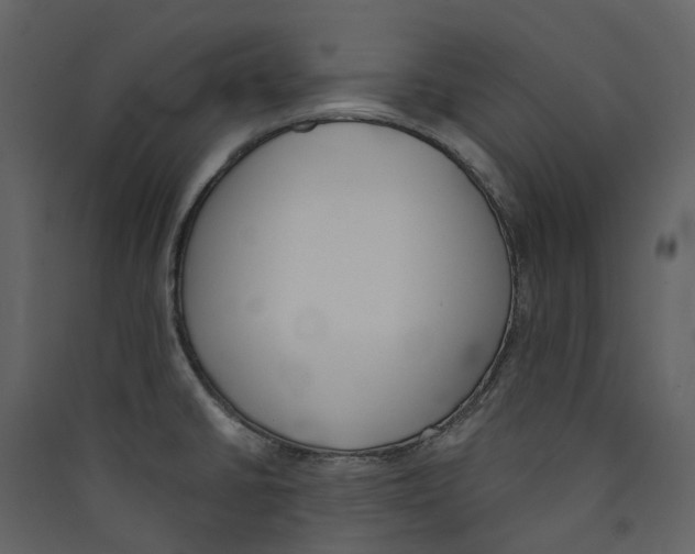X0000089391430200707131710