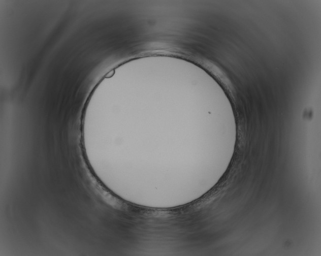 X0000089391431200707131710
