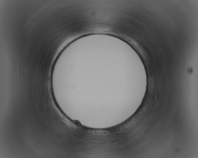X0000089391432200707131710