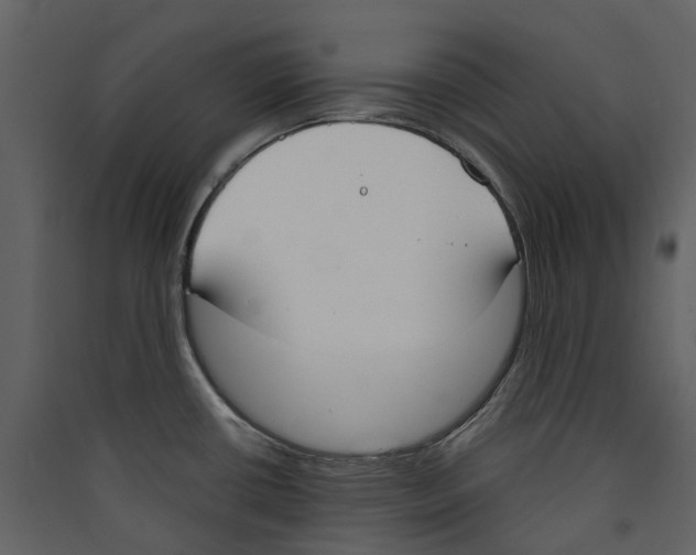 X0000089391434200707131710