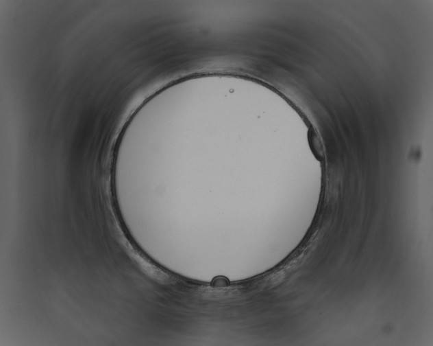 X0000089391437200707131710