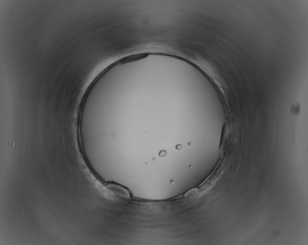 X0000089391438200707131710