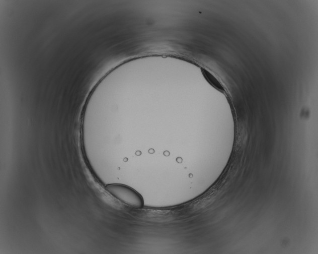 X0000089391439200707131710
