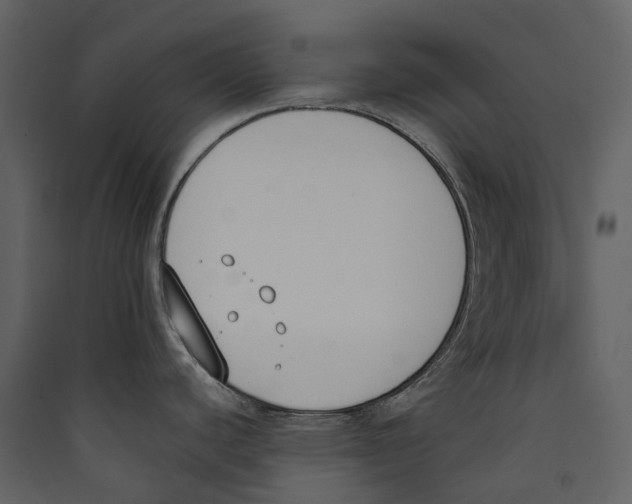 X0000089391440200707131710