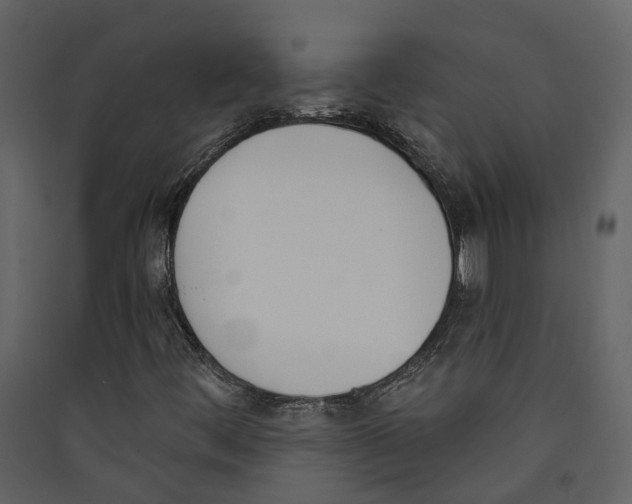 X0000089391444200707131710