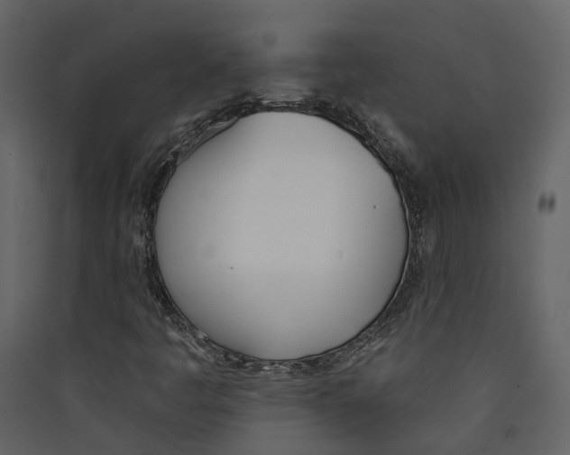 X0000089391445200707131710