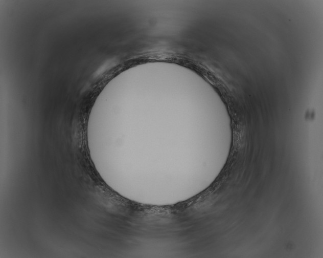 X0000089391446200707131710