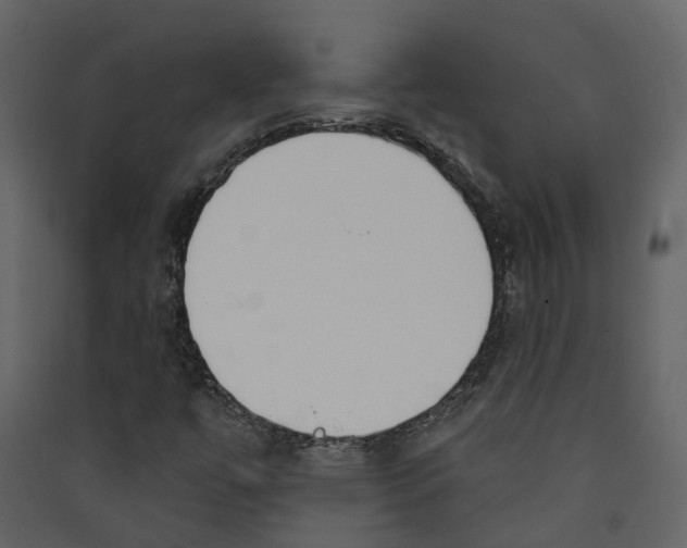 X0000089391447200707131710