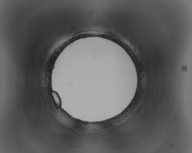 X0000089391448200707131710