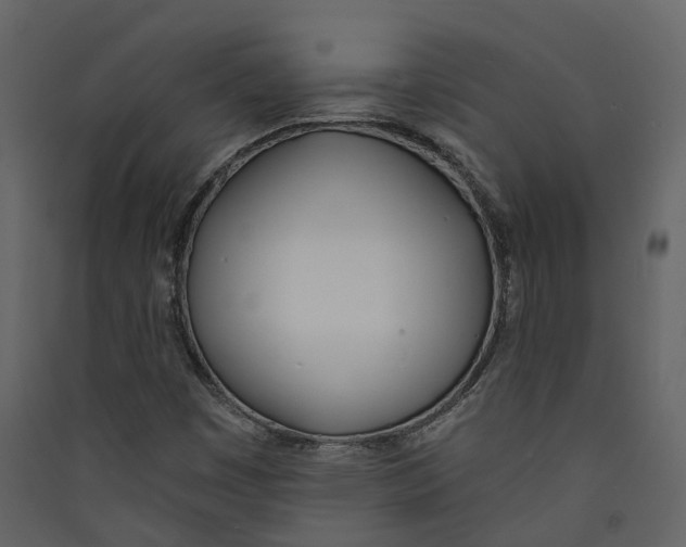 X0000089391449200707131709