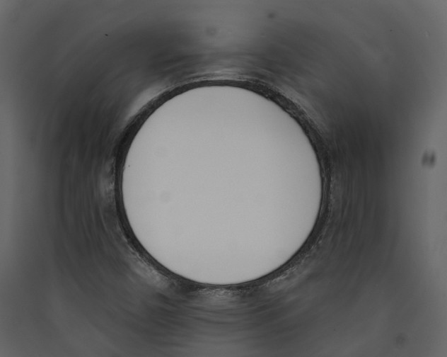 X0000089391450200707131709