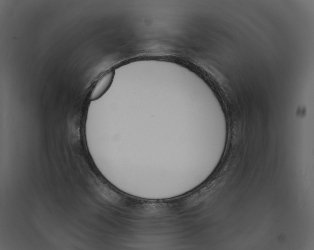 X0000089391451200707131709