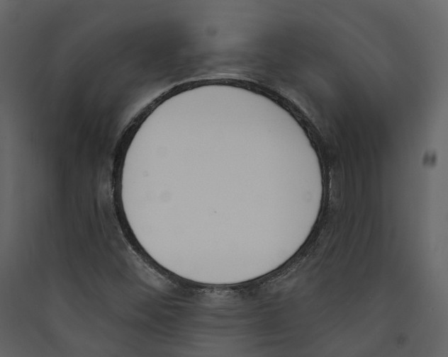 X0000089391452200707131709