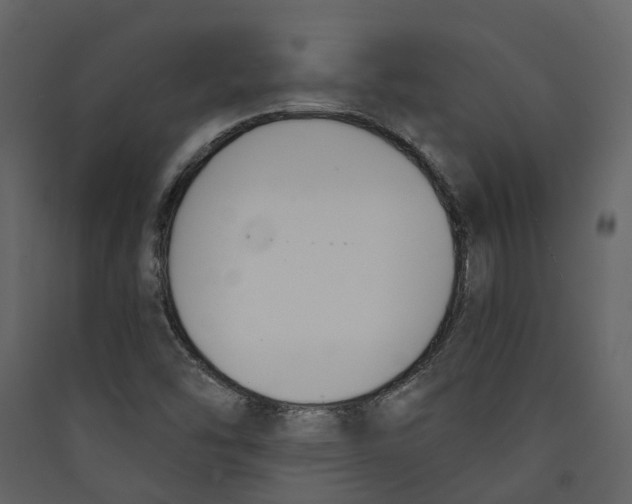 X0000089391454200707131709