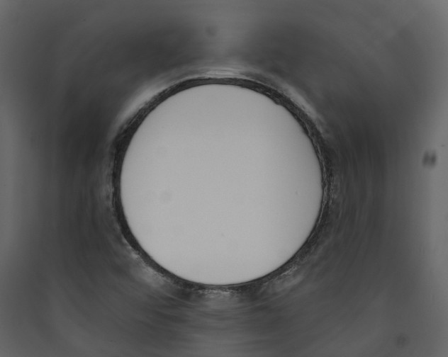 X0000089391456200707131709