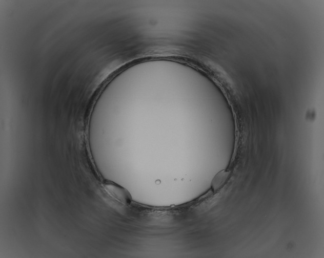 X0000089391457200707131709