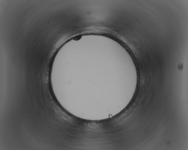 X0000089391459200707131709
