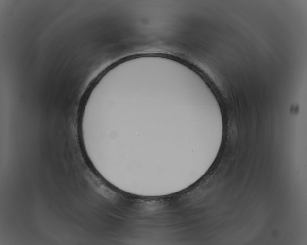 X0000089391460200707131709