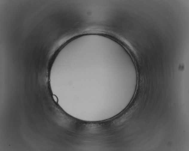 X0000089391461200707131709