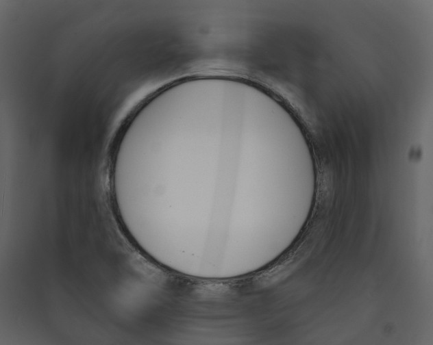 X0000089391462200707131709