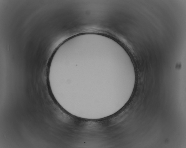 X0000089391463200707131709