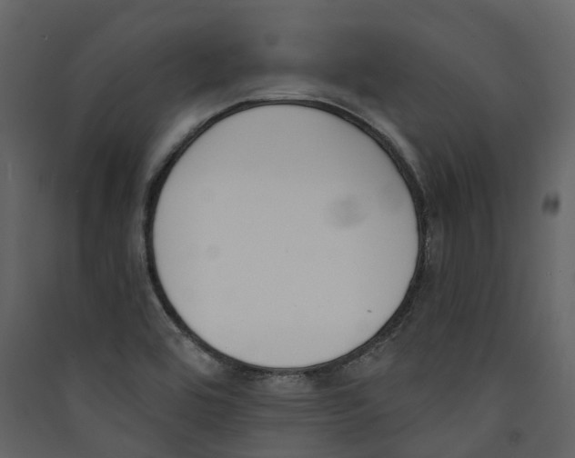 X0000089391464200707131709