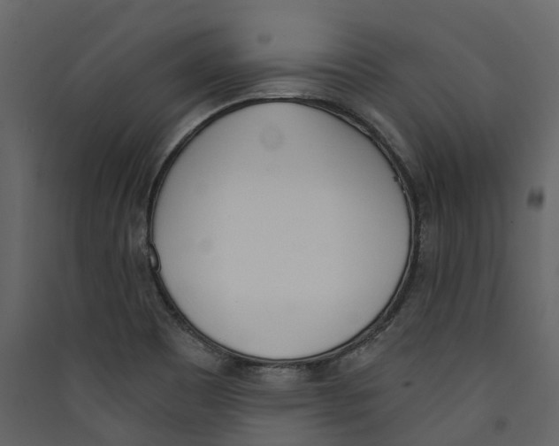 X0000089391465200707131709