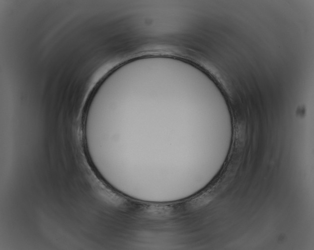 X0000089391466200707131709