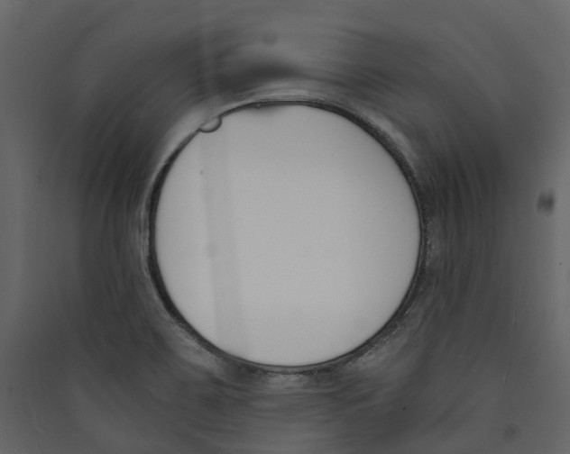 X0000089391467200707131709