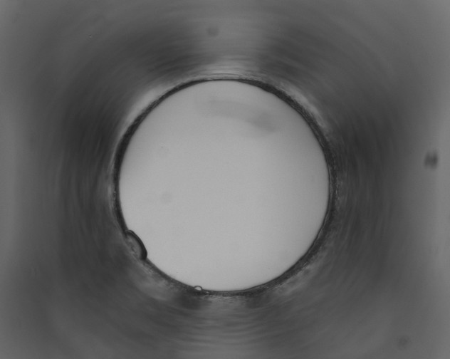 X0000089391469200707131709