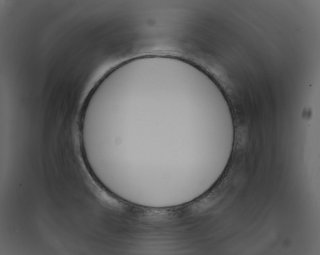 X0000089391470200707131709