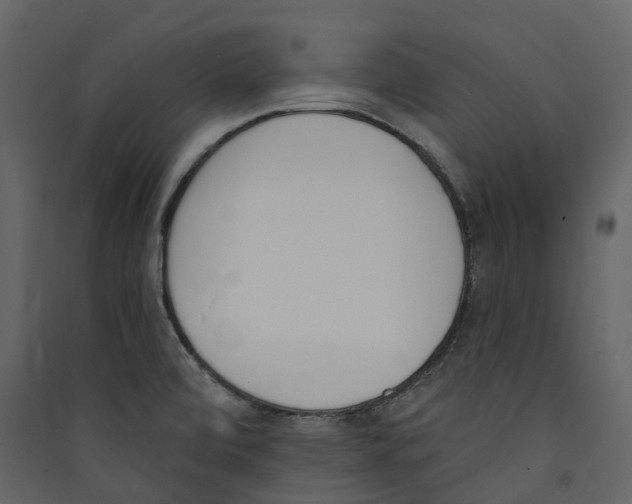 X0000089391472200707131709