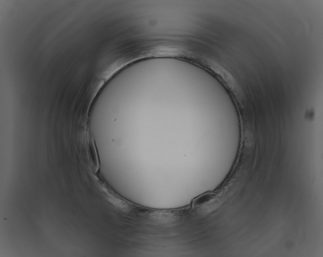 X0000089391473200707131709