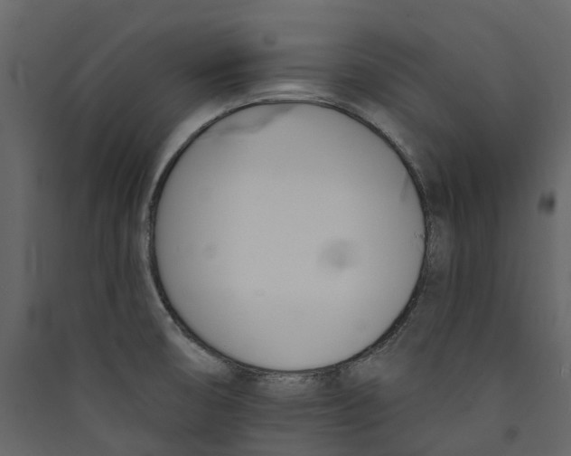 X0000089391474200707131709