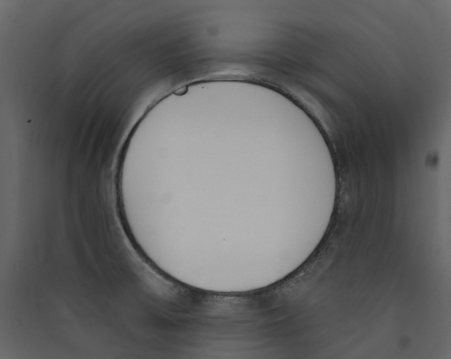 X0000089391475200707131709