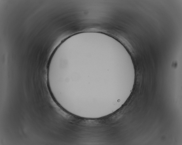 X0000089391476200707131709