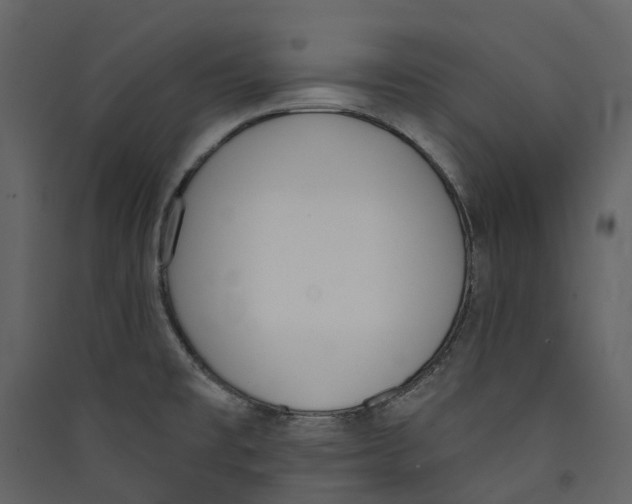 X0000089391477200707131709