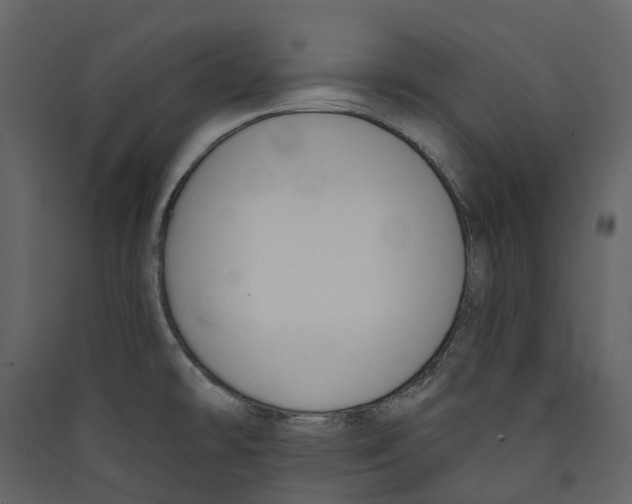 X0000089391478200707131709