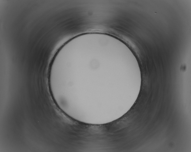 X0000089391480200707131709