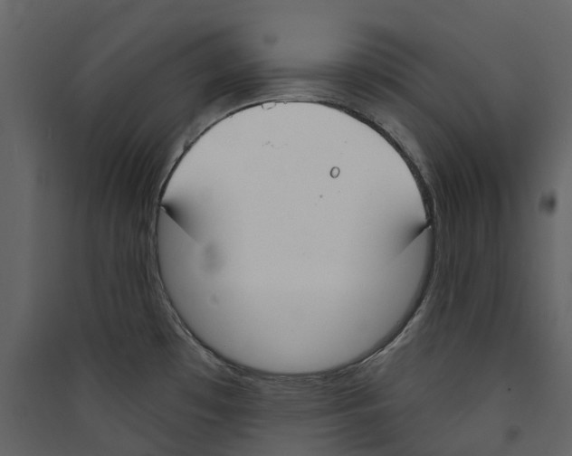 X0000089391481200707131709